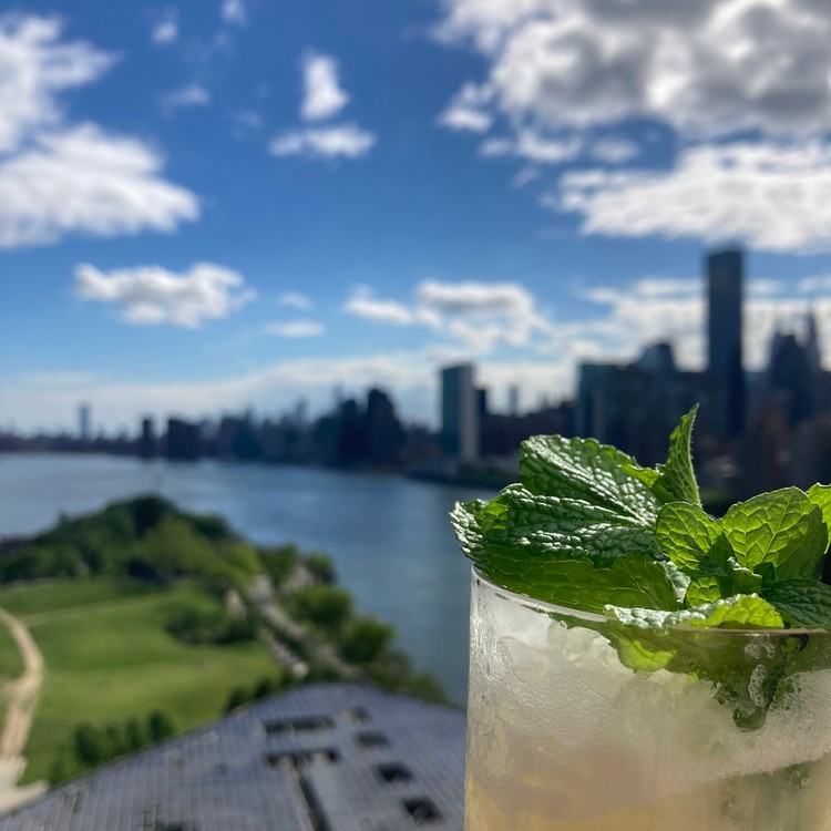 Roosevelt Island